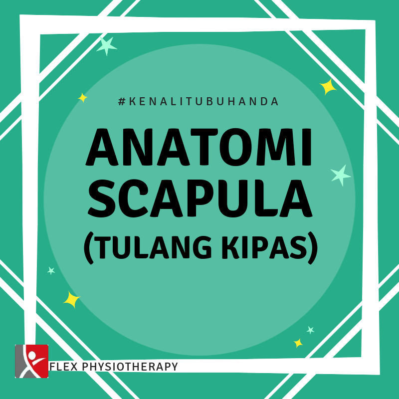 Beza Scapular Winging dan tulang scapula