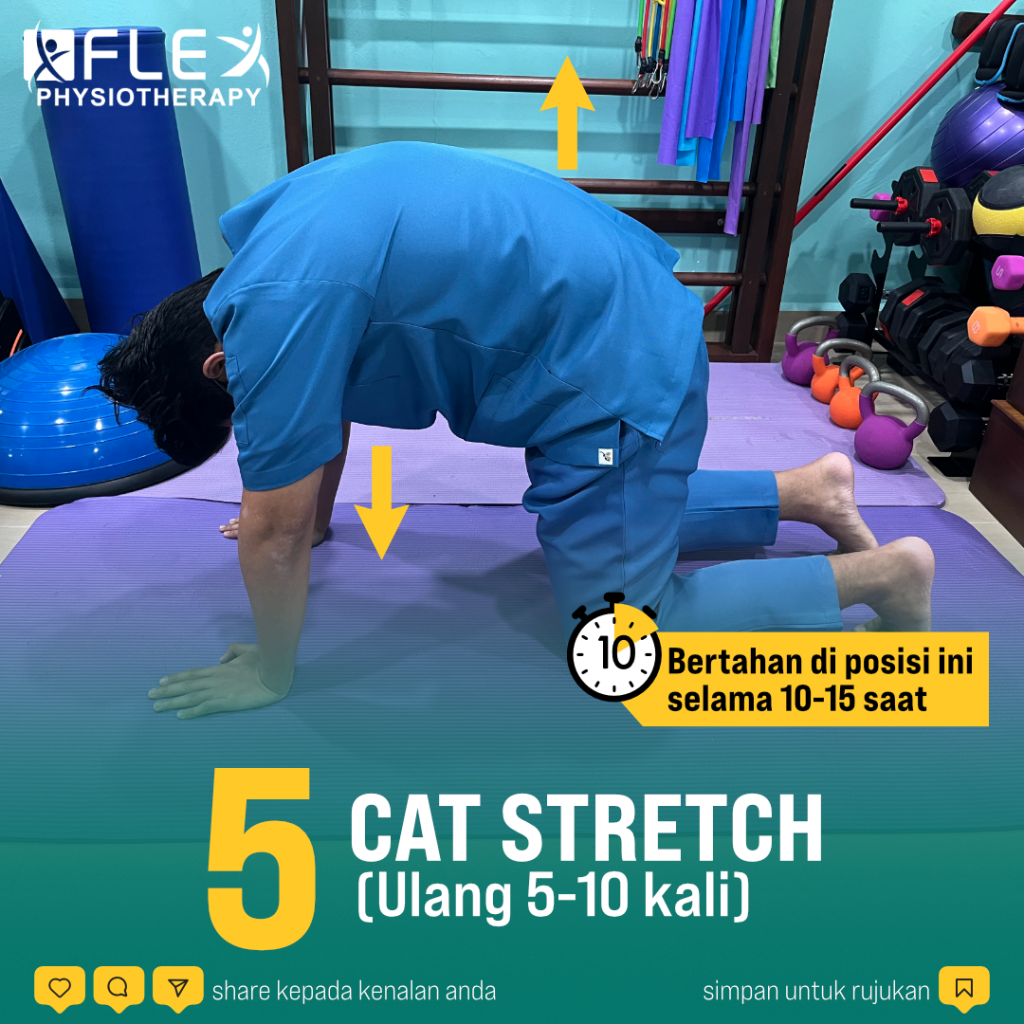 Cat Stretch Kurangkan Sakit Pinggang